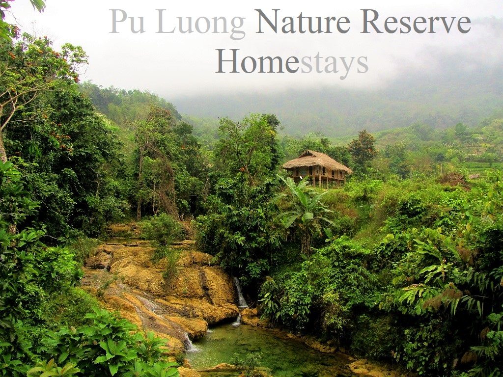 Homestays in Pu Luong Nature Reserve, northern Vietnam