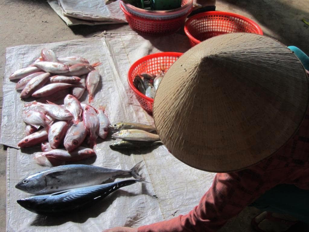 Saigon's Fresh Markets