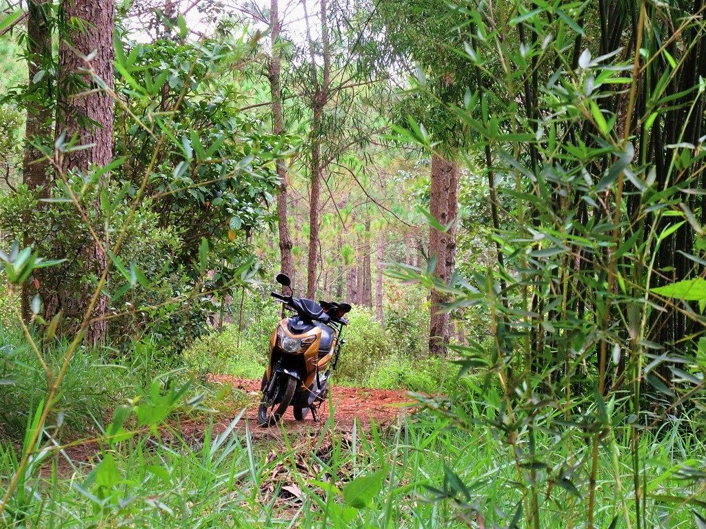 The path to Phuong Boi forest, Thich Nhat Hanh's retreat, Vietnam