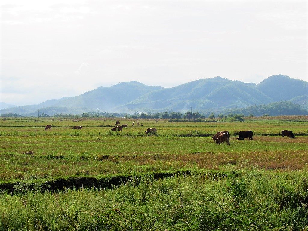 Greenfield Ecostay, Phong Nha, Vietnam