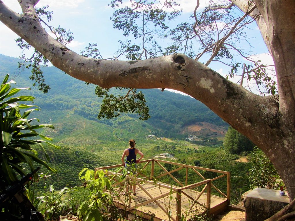 Ode to a Banyan Tree – Vietnam Coracle – Independent Travel Guides to ...