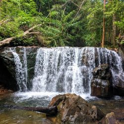 The Spring-Hopping Loop, Phu Quoc Island, Vietnam