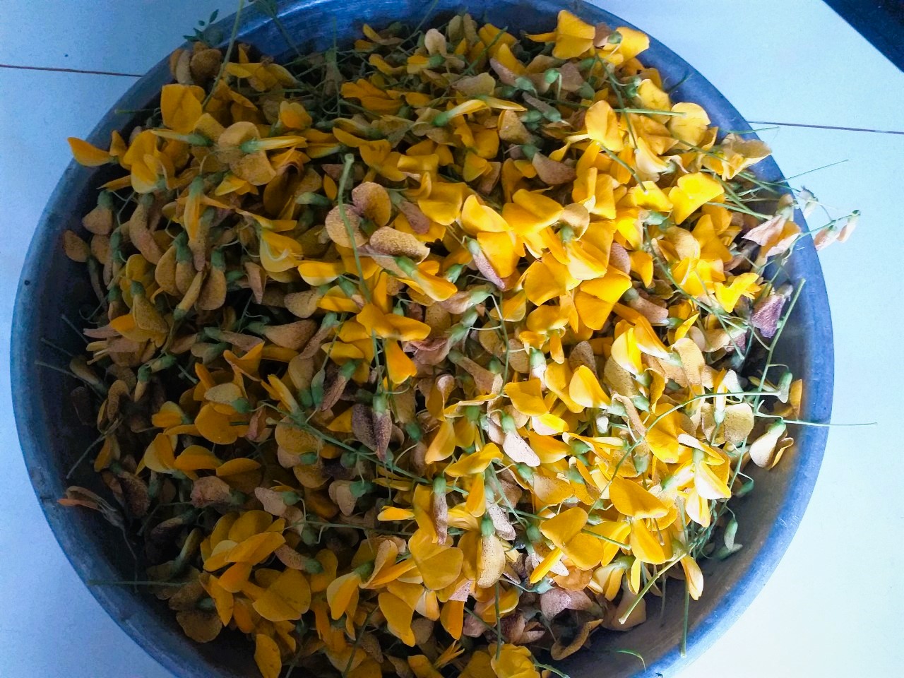 Edible Flowers in Vietnamese Cuisine – Vietnam Coracle