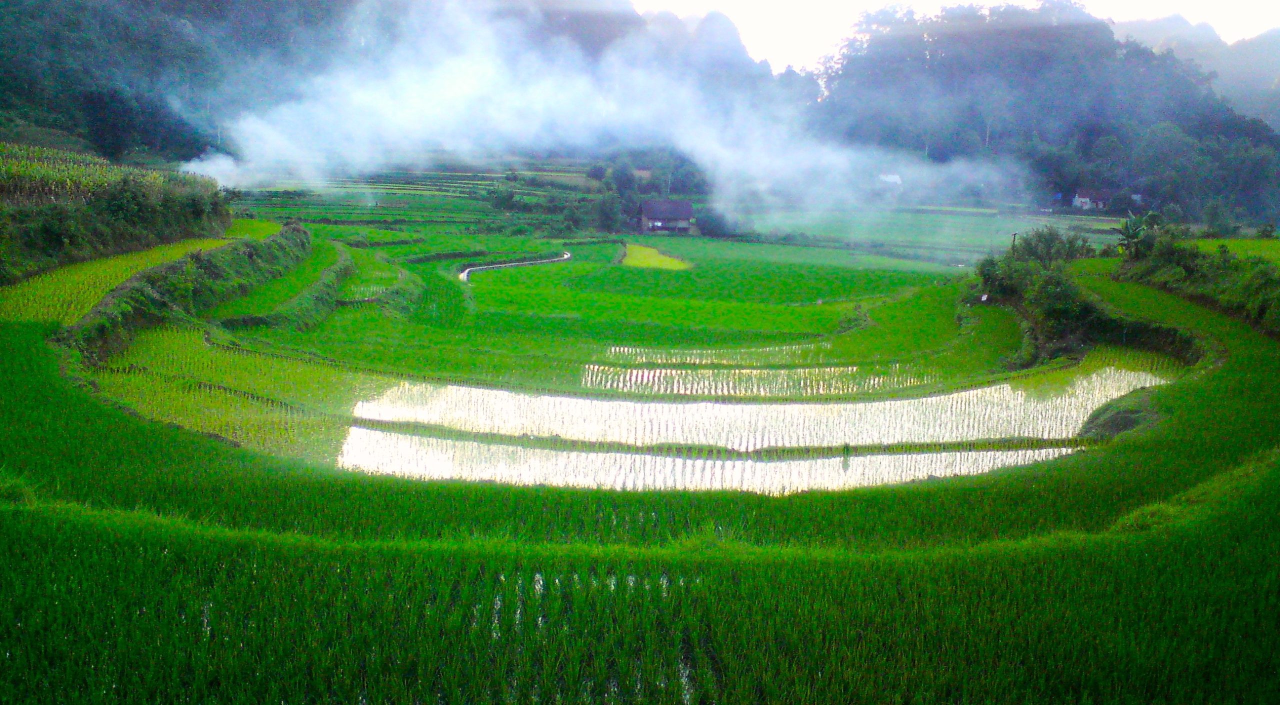 Rice Terraces of Northern Vietnam