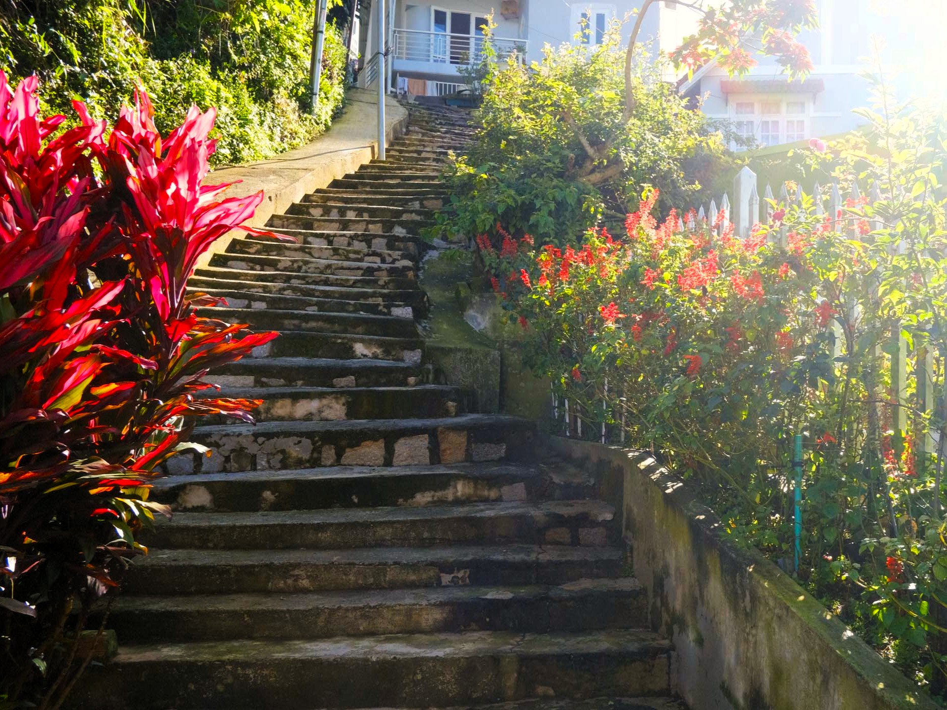 Urban Walking in Dalat, Vietnam