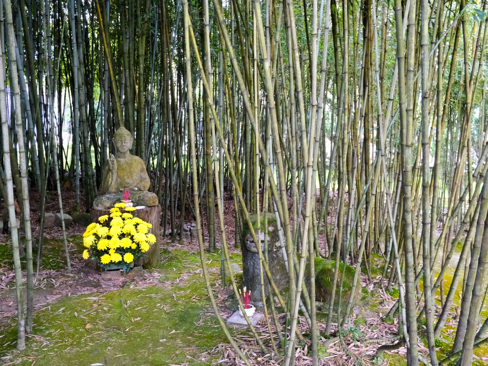 Urban Walking in Dalat, Vietnam