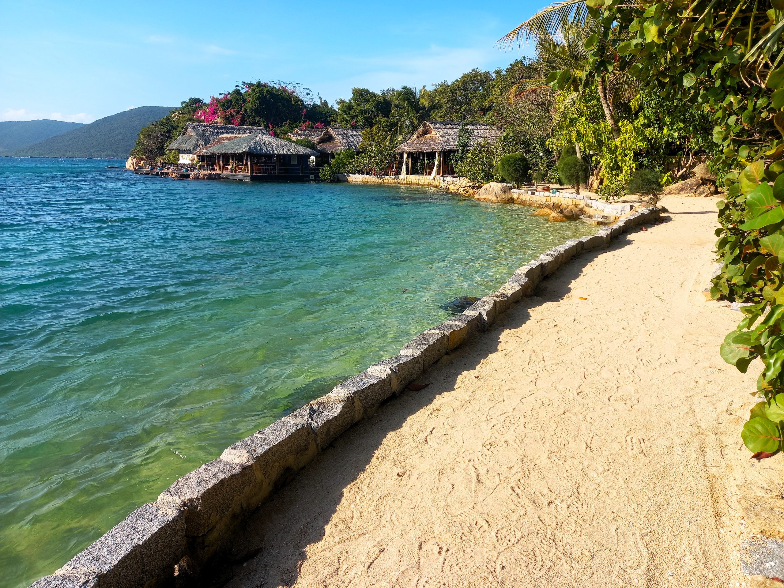 Behind the Scenes Special: February, 2026