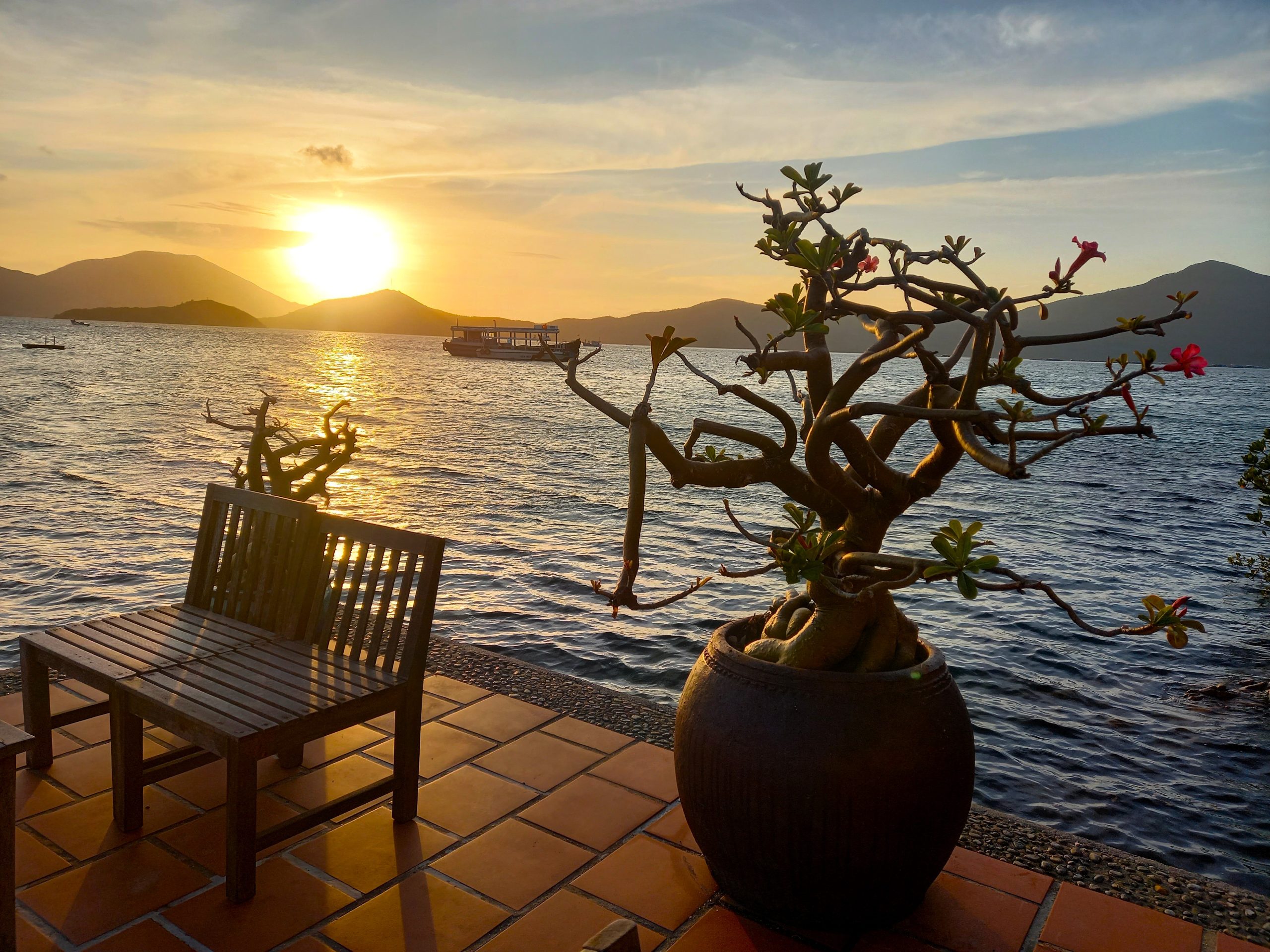 Behind the Scenes Special: February, 2026