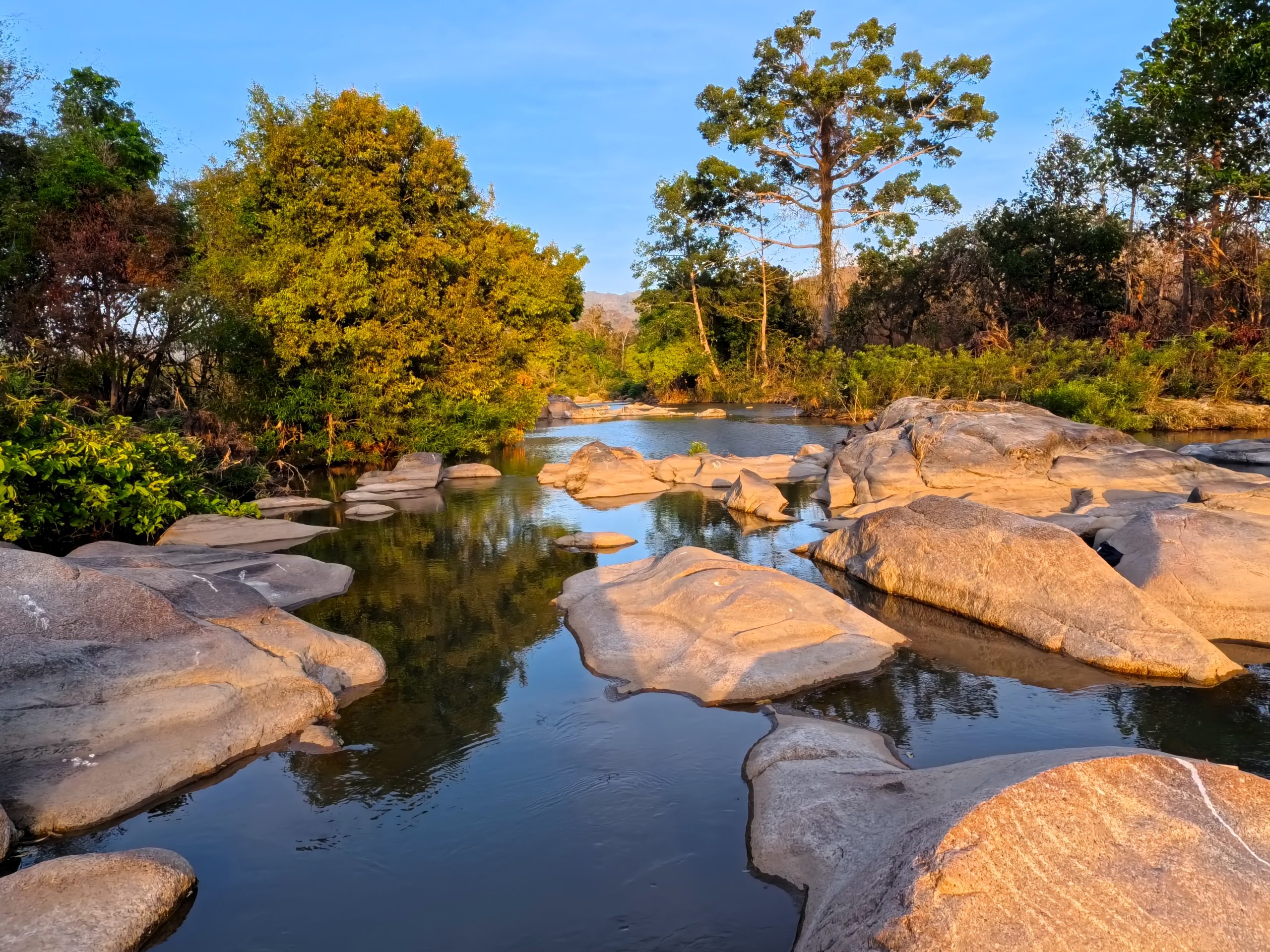 Behind the Scenes Special: February, 2026