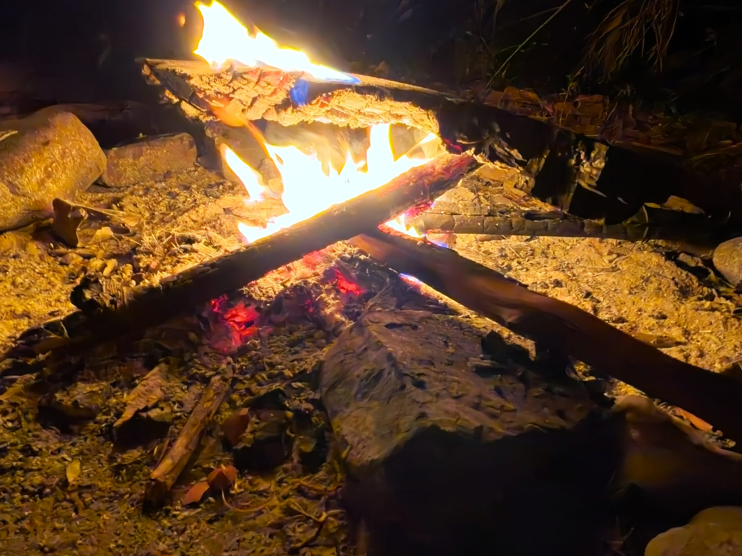 Behind the Scenes Special: February, 2026