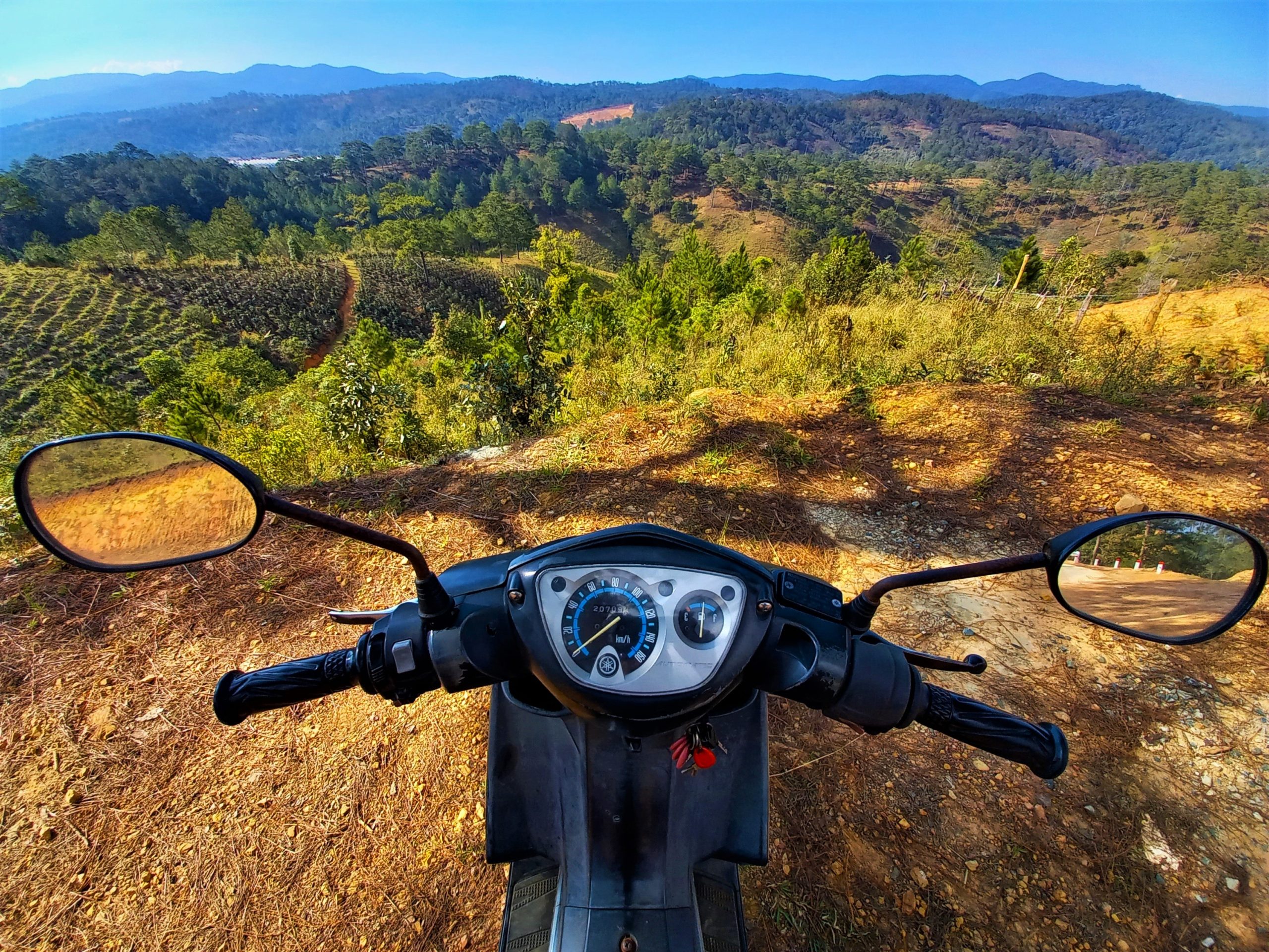 My Motorbike, Stavros