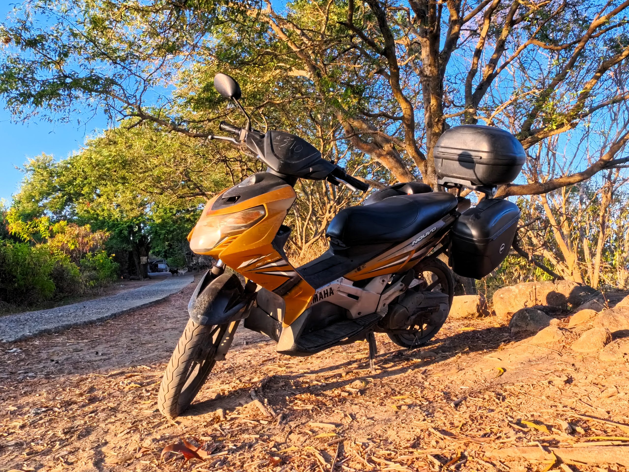 My Motorbike, Stavros